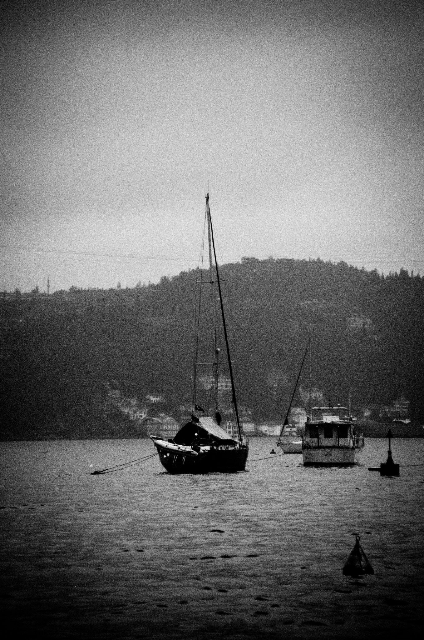 471062 10150807165423564 1828440563 o