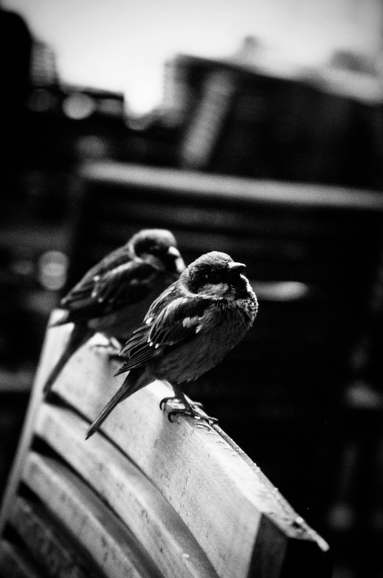 327554 10150494190793564 549758563 8968695 415496263 o