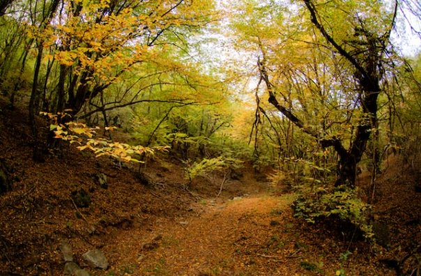 Facebook photo download 2361195048782070701