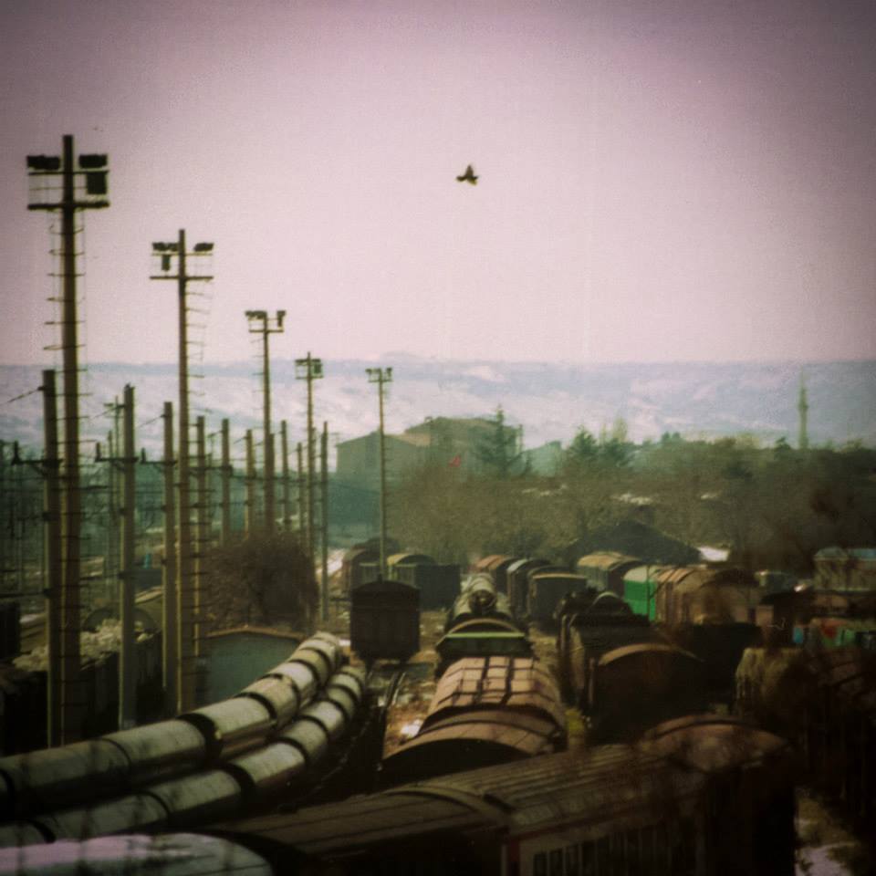 10356216 10152314022473564 5847505672888334226 n