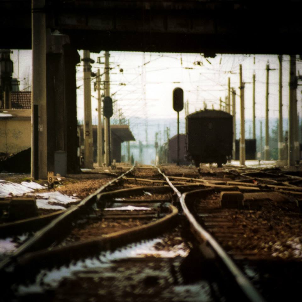 10518707 10152314022208564 3836706532735965886 n