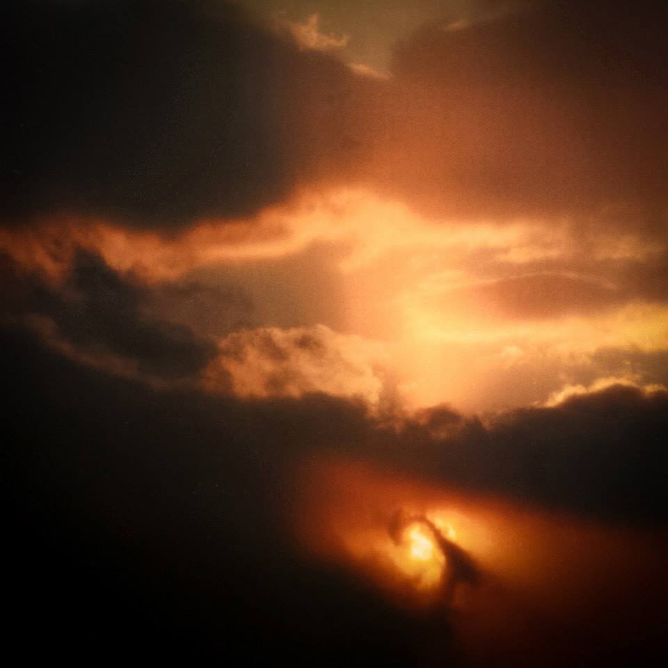 7368 10152314022033564 7744219584522762551 n