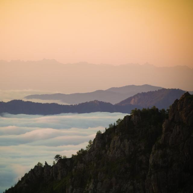 Facebook photo download 2361195048785107900