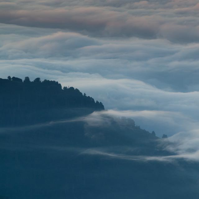 Facebook photo download 2361195048785107902