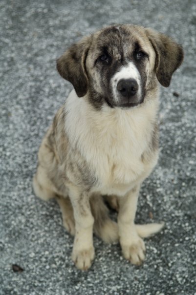 Facebook photo download 2361195048782150489