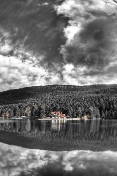 Facebook photo download 2361195048782773104