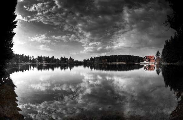 Facebook photo download 2361195048782773107