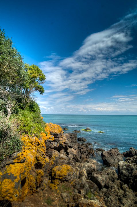 Facebook photo download 2361195048786596666