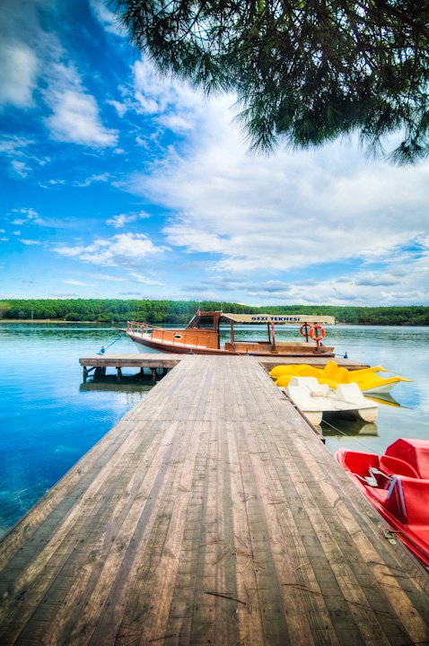 Facebook photo download 2361195048786596673