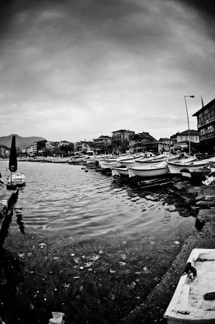 Facebook photo download 2361195048784786300