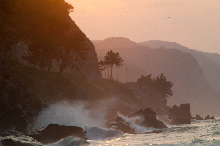 Facebook photo download 2361195048786202525