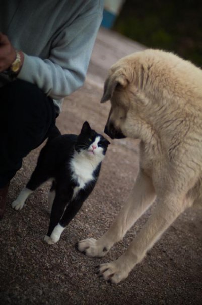 Facebook photo download 2361195048784393480