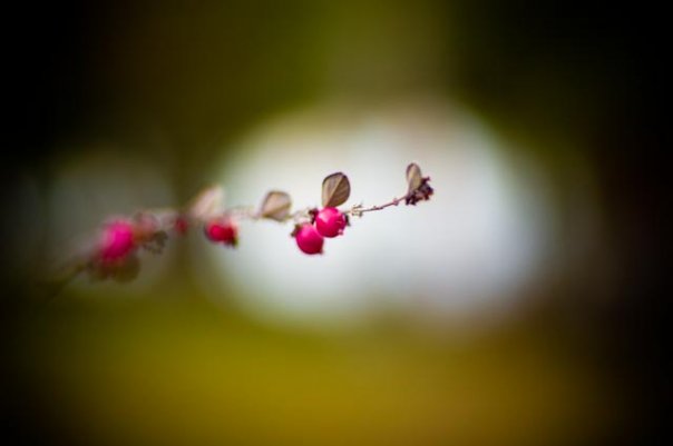 Facebook photo download 2361195048784393481